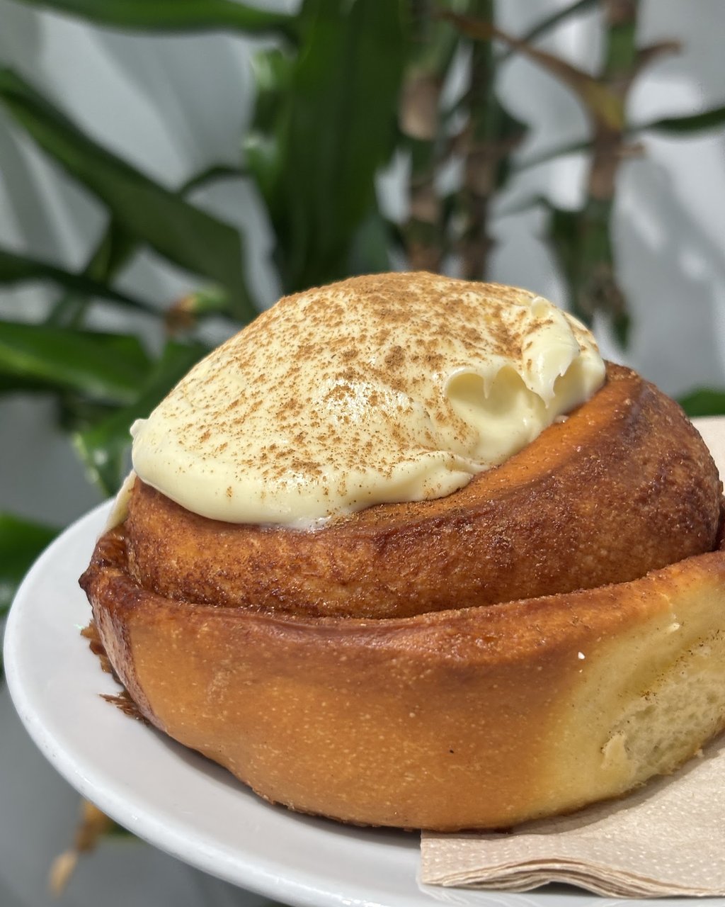 A cinnamon roll with cream cheese icing on a plate at PadamPadam.